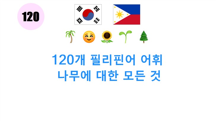 120개 필리핀어 어휘: 나무에 대한 모든 것